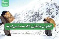 کولبران جانشان را کف دست می‌گیرند
