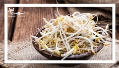 فواید شگفت‌انگیز جوانه‌های لوبیا برای سلامت بدن و ذهن