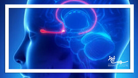 انسان فقط پنج حس ندارد