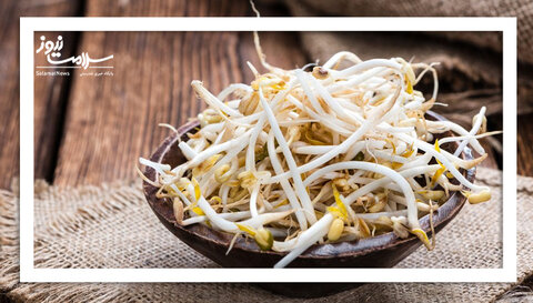 فواید شگفت‌انگیز جوانه‌های لوبیا برای سلامت بدن و ذهن