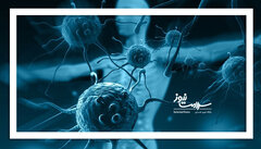 وقتی سیستم ایمنی ضعیف است