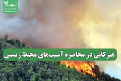 هیرکانی در محاصره آسیب‌های محیط زیستی