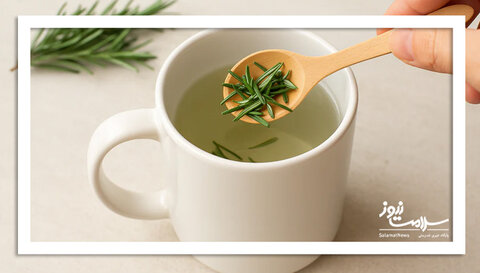 بهترین زمان نوشیدن انواع چای