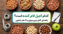 کدام آجیل لاغر کننده است؟ راهنمای کامل چربی‌سوزی با 6 مغز جادویی
