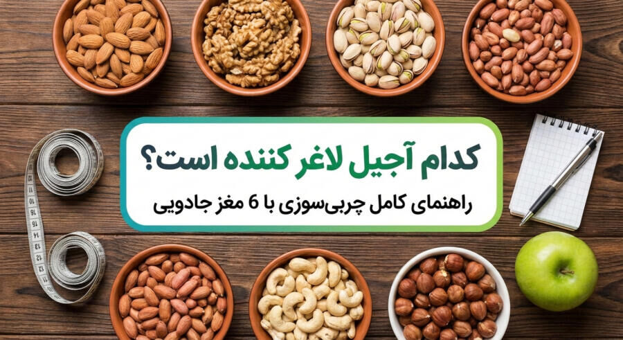 کدام آجیل لاغر کننده است؟ راهنمای کامل چربی‌سوزی با 6 مغز جادویی