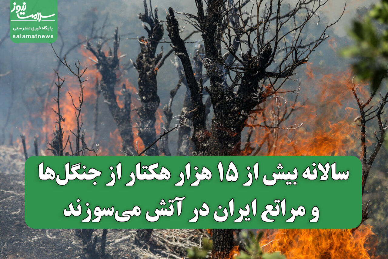 سالانه بیش از ۱۵ هزار هکتار از جنگل‌ها و مراتع ایران در آتش می‌سوزند