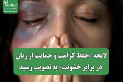 لایحه «حفظ کرامت و حمایت از زنان در برابر خشونت» به تصویب رسید