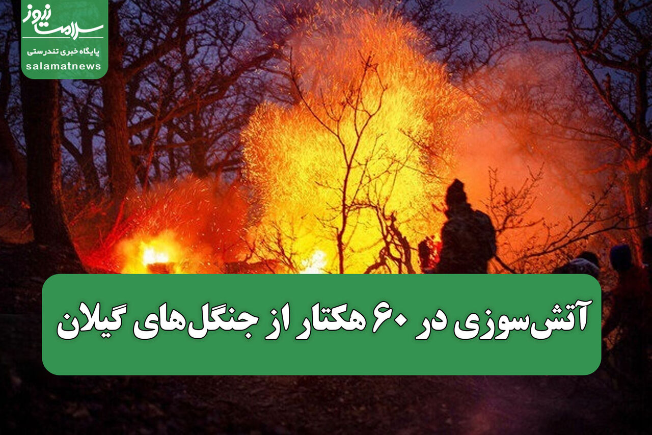 آتش‌سوزی در ۶۰ هکتار از جنگل های گیلان