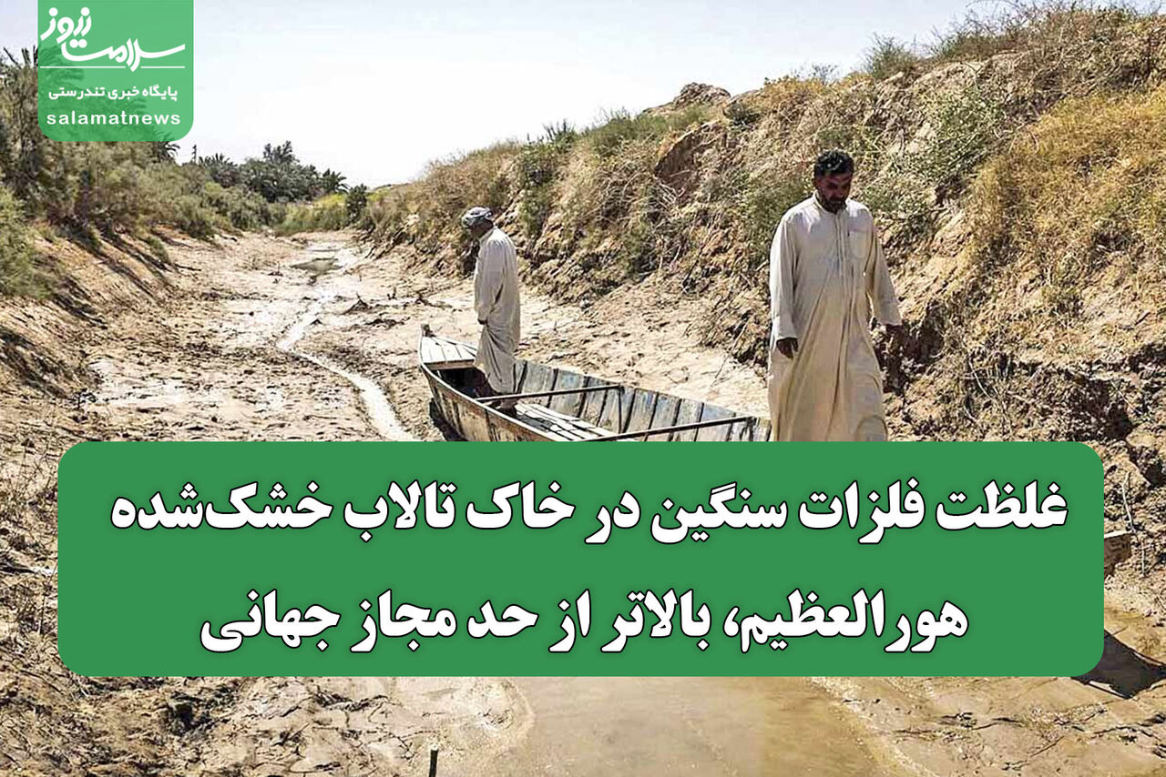 غلظت فلزات سنگین در خاک تالاب خشک‌شده هورالعظیم، بالاتر از حد مجاز جهانی