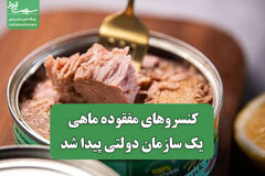 کنسروهای مفقوده ماهی یک سازمان دولتی پیدا شد