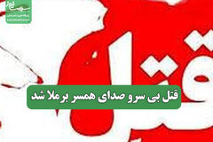 قتل بی سرو صدای همسر برملا شد