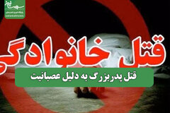 قتل پدربزرگ به دلیل عصبانیت