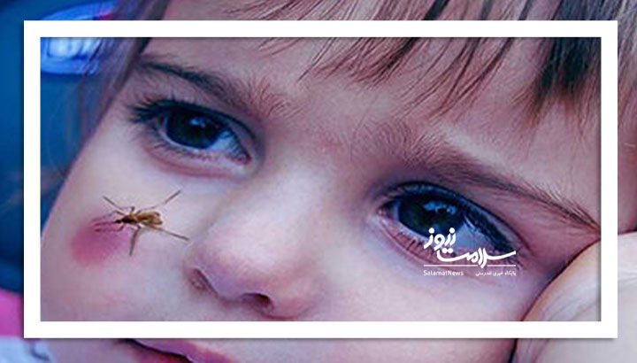 آیا سالک برگشته است؟ آیا سالک برگشته است؟