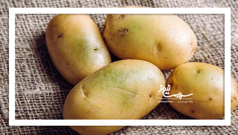 چگونه سیب زمینی‌های سمی را بشناسیم؟