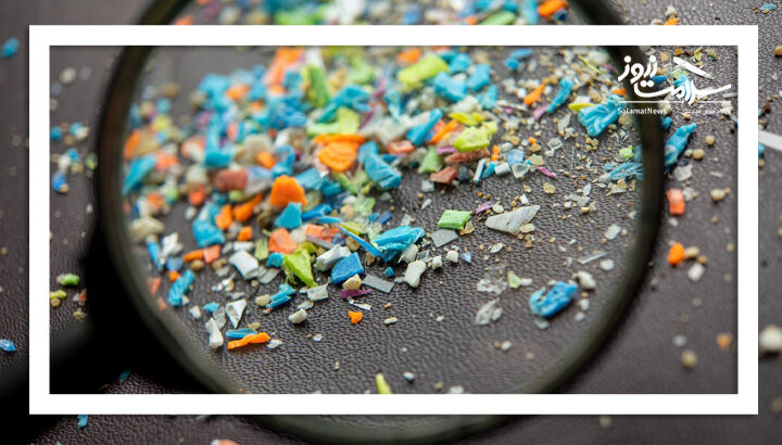 چه غذاهایی بیشترین ذرات پلاستیک را دارند؟