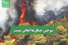 سوختن جنگل‌ها اتفاقی نیست