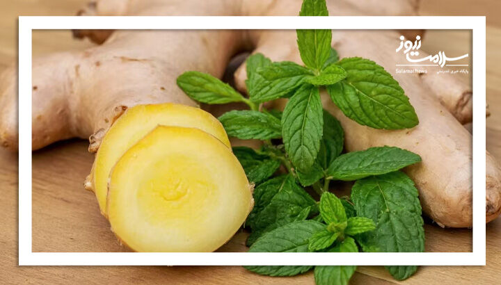 زنجبیل برای رفع حالت تهوع بهتر است یا نعناع؟