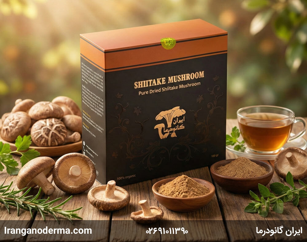 تقویت سیستم ایمنی و پیشگیری از بیماری‌ها با قارچ شیتاکه