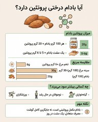آیا بادام درختی پروتئین دارد؟