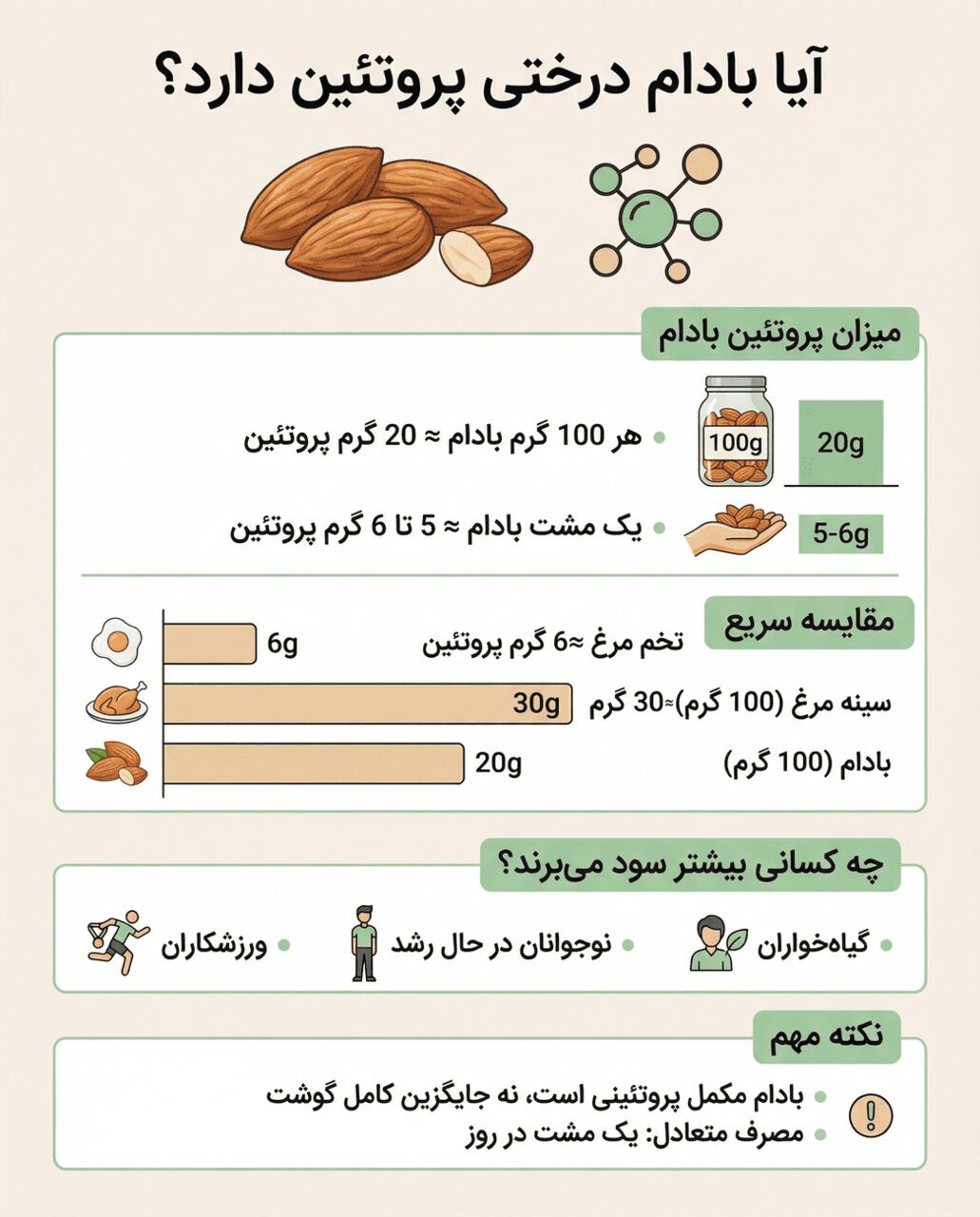 اینفوگرافی پروتئین بادام