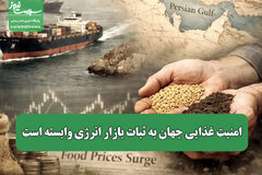 امنیت غذایی جهان به ثبات بازار انرژی وابسته است