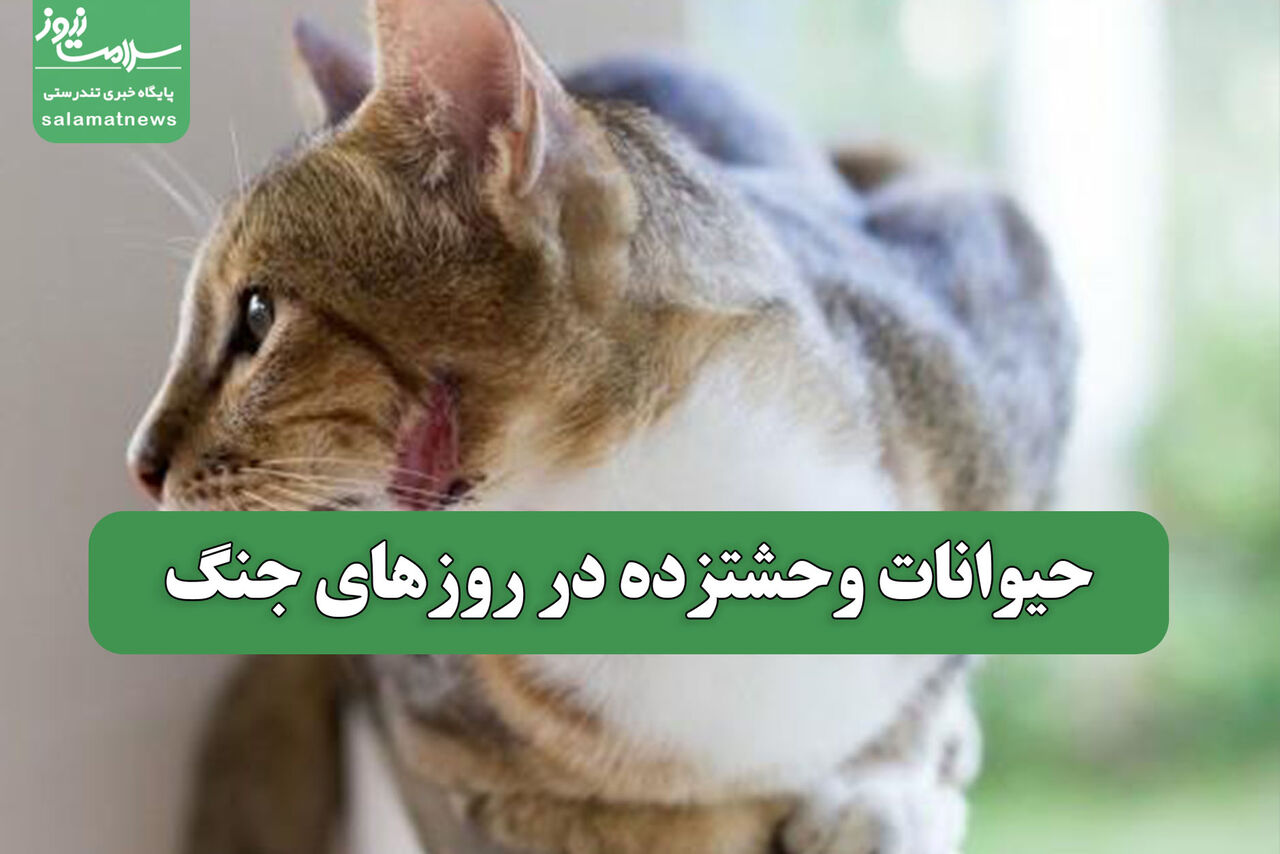 حیوانات وحشتزده در روزهای جنگ