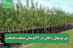 توزیع نهال رایگان در ۲۲بوستان منتخب پایتخت