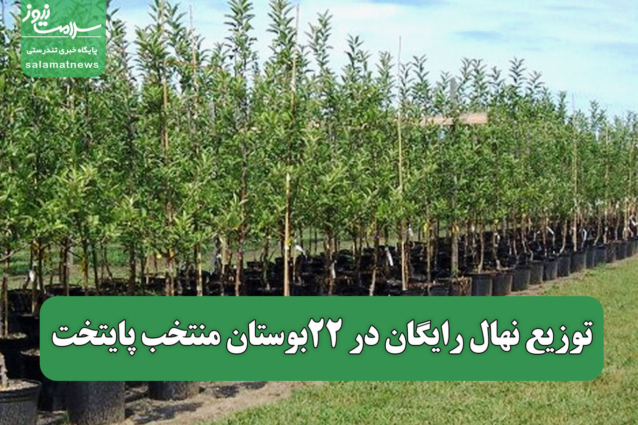 توزیع نهال رایگان در ۲۲بوستان منتخب پایتخت