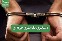 دستگیری یک سارق حرفه‌ای