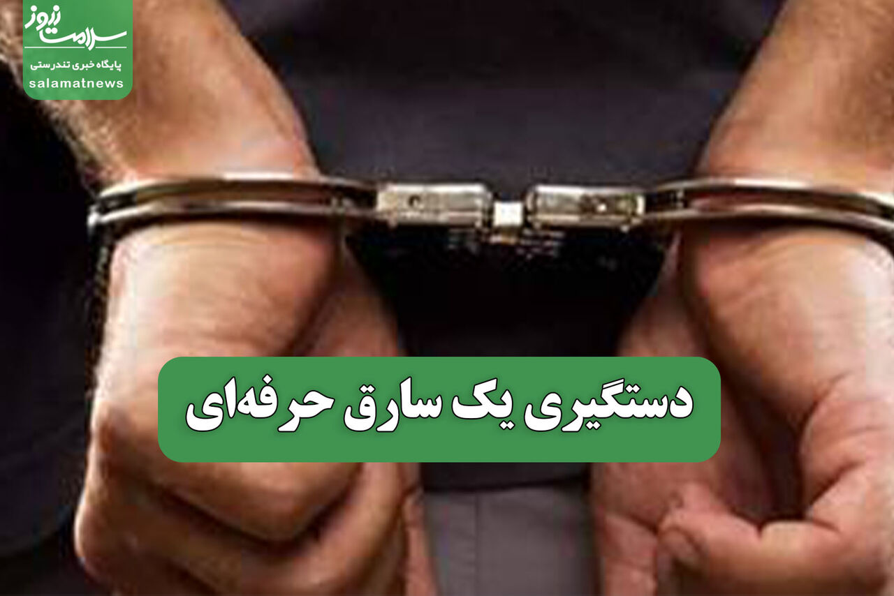 دستگیری یک سارق حرفه‌ای