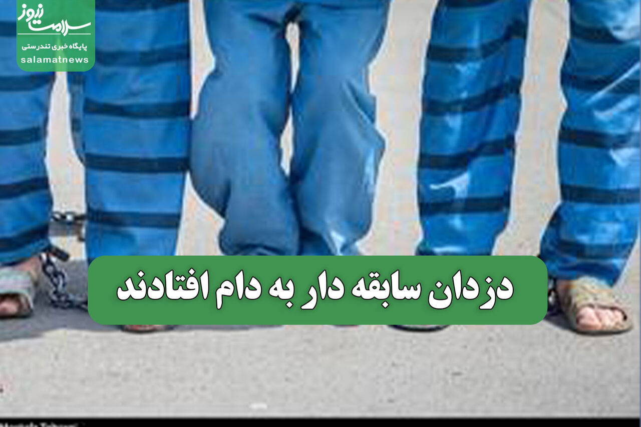 دزدان سابقه دار به دام افتادند