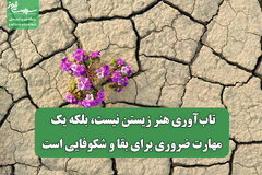 تاب‌آوری هنر زیستن نیست، بلکه یک مهارت ضروری برای بقا و شکوفایی است