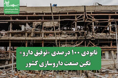 نابودی 100 درصدی «توفیق دارو» نگین صنعت داروسازی کشور