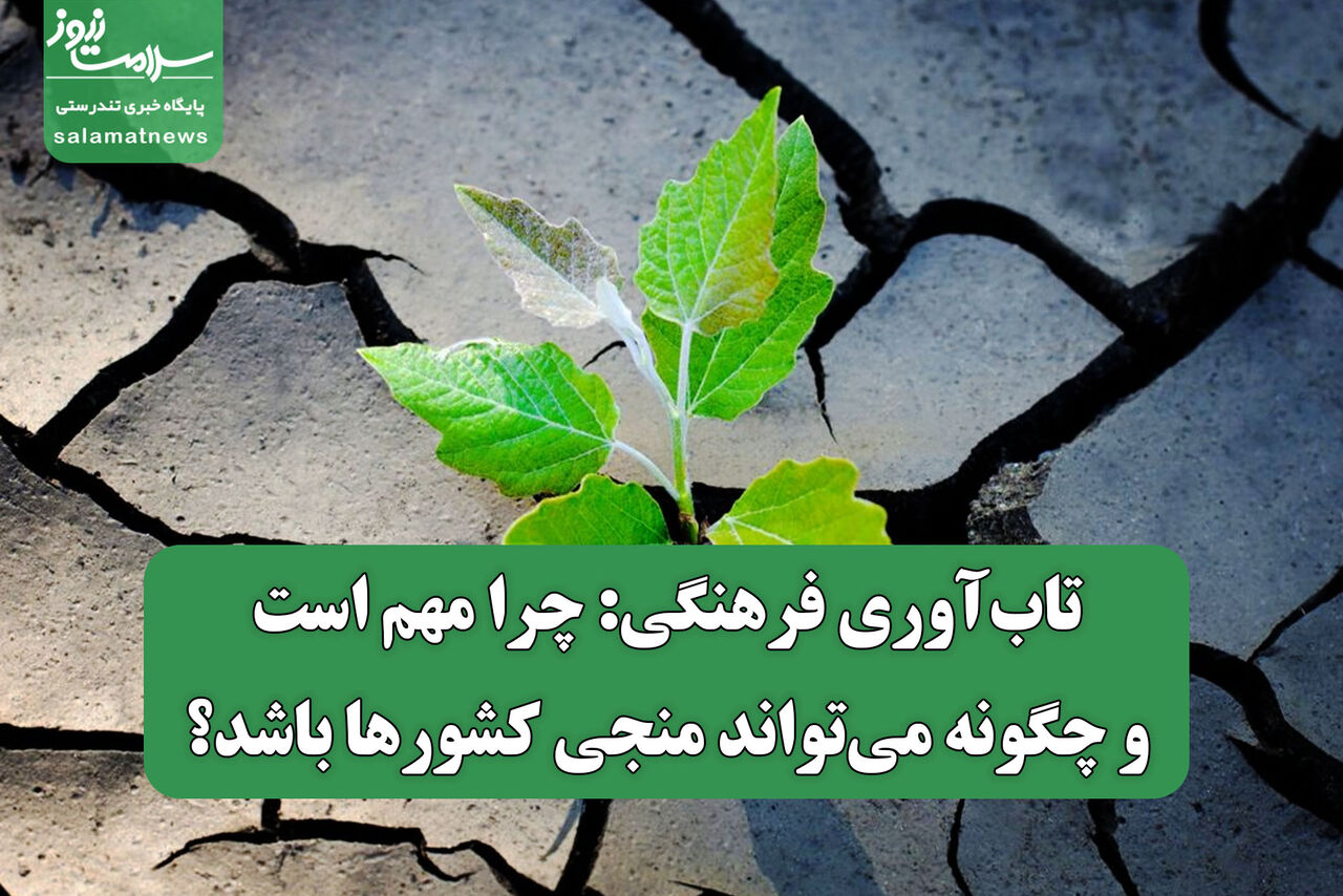 تاب‌آوری فرهنگی: چرا مهم است و چگونه می‌تواند منجی کشورها باشد؟