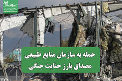 حمله به سازمان منابع طبیعی مصداق بارز جنایت جنگی