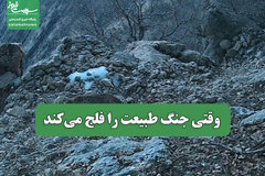 وقتی جنگ طبیعت را فلج می‌کند