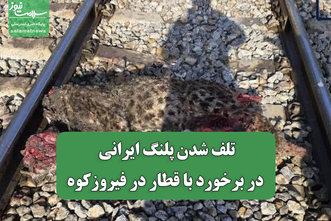 تلف شدن پلنگ ایرانی در برخورد با قطار در فیروزکوه