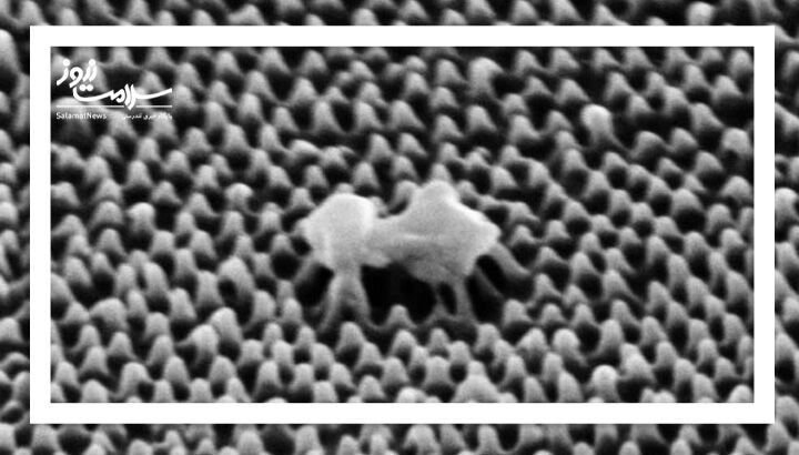 پایان دوران ضدعفونی‌های شیمیایی؟