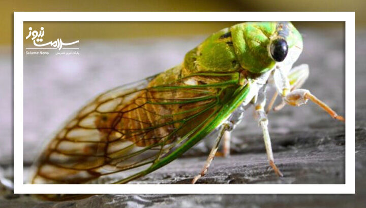 پایان دوران ضدعفونی‌های شیمیایی؟