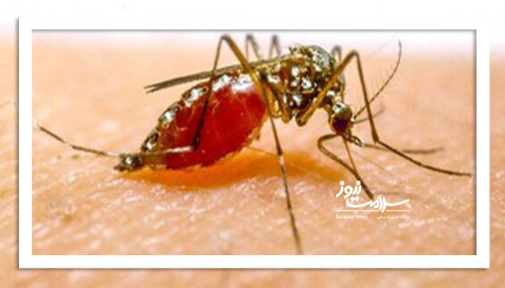 چرا مالاریا در کشور شایع شده است؟
