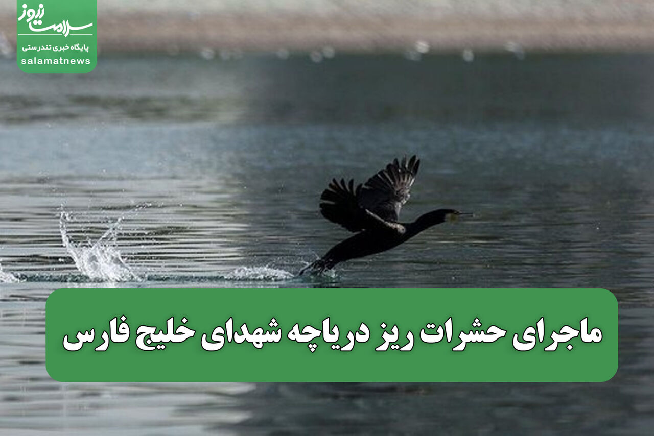 ماجرای حشرات ریز دریاچه شهدای خلیج فارس