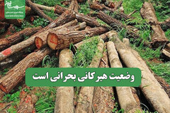 وضعیت هیرکانی بحرانی است