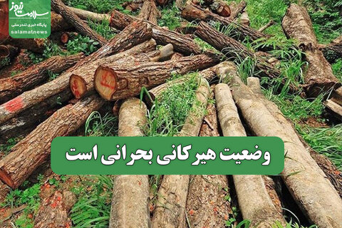وضعیت هیرکانی بحرانی است