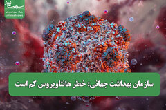 سازمان بهداشت جهانی: خطر هانتاویروس کم است