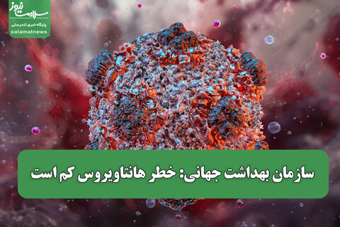 سازمان بهداشت جهانی: خطر هانتاویروس کم است