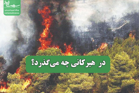در  هیرکانی چه می‌گذرد؟