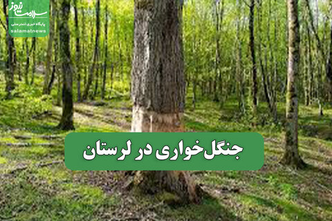 جنگل‌خواری در لرستان