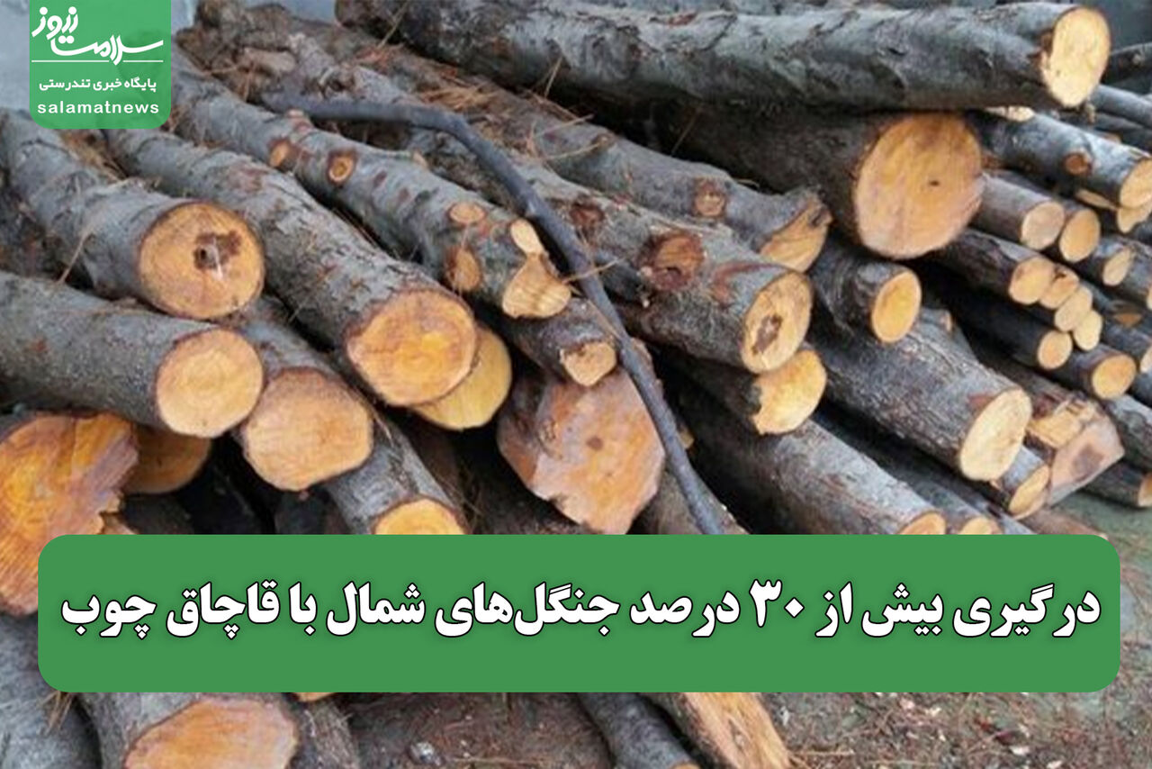 درگیری بیش از ۳۰ درصد جنگل‌های شمال با قاچاق چوب 