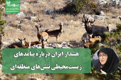 هشدار ایران درباره پیامدهای زیست‌محیطی تنش‌های منطقه‌ای