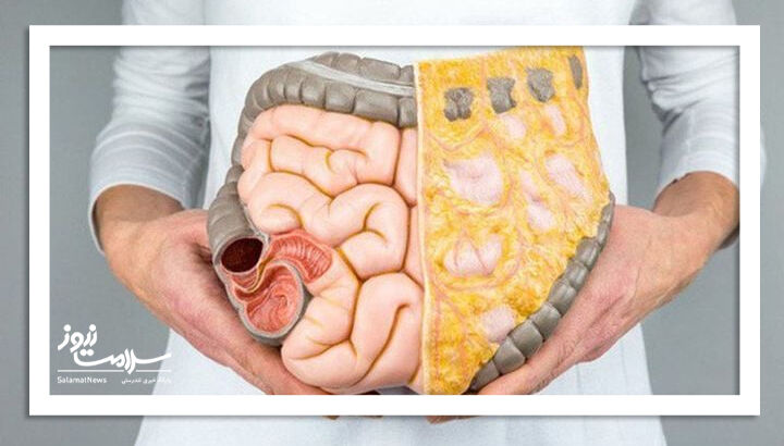 نقش پیاده‌روی روزانه در کاهش چربی احشایی بدن 